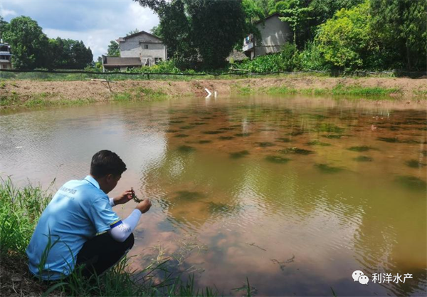 1649749401172996.png 1.png