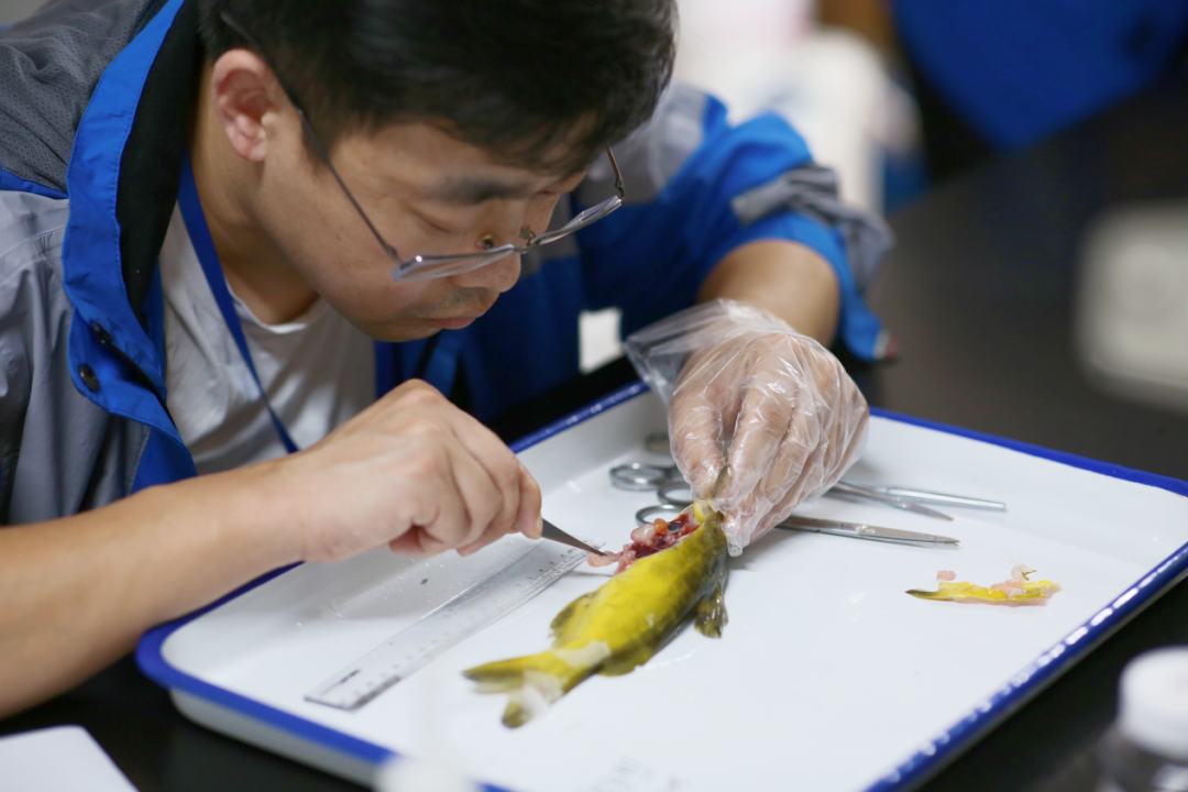 1677633184290081.png 7.png