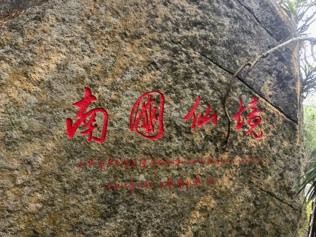 1683619896786272.jpg 2.jpg