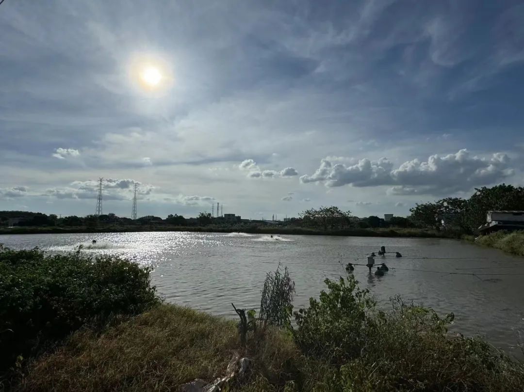 1719795829903025.jpg 70.jpg