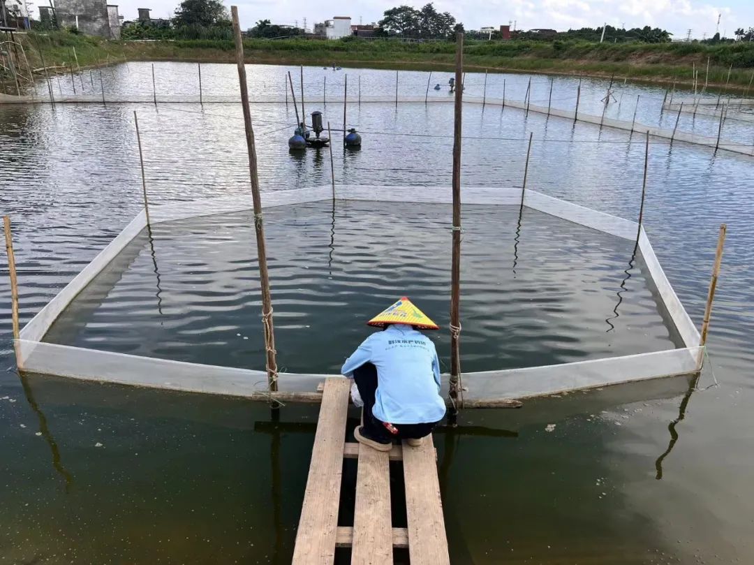 1719795860141818.jpg 72.jpg