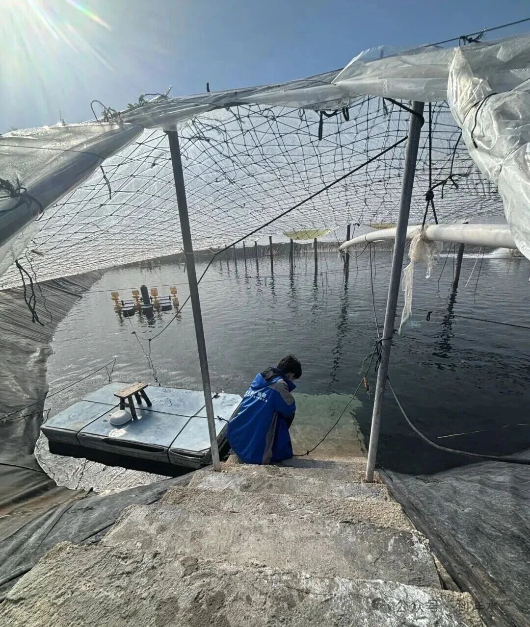 1766739386215482.jpg 20.jpg