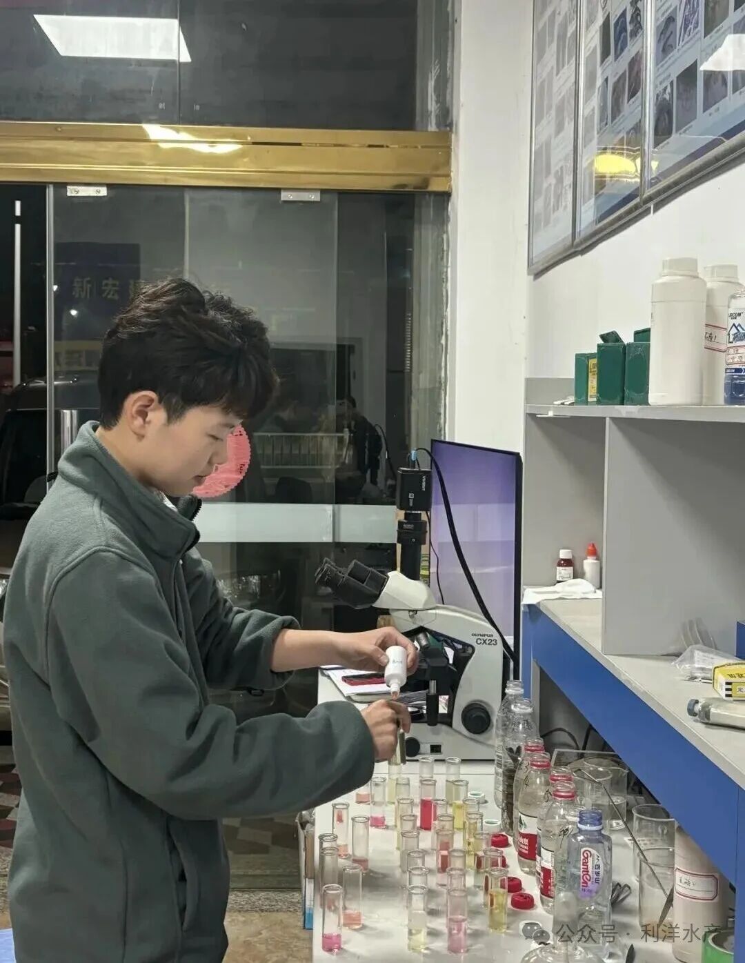 1766739406512153.jpg 21.jpg