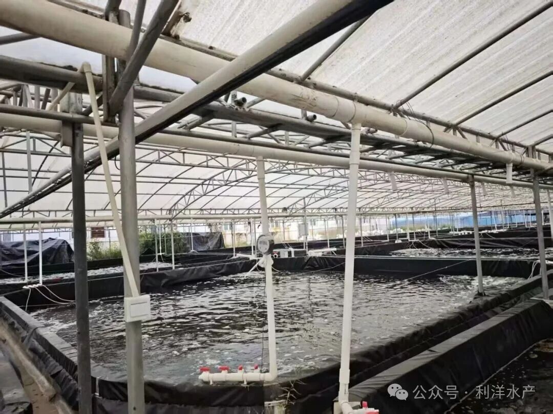 1767487903892091.jpg 28.jpg