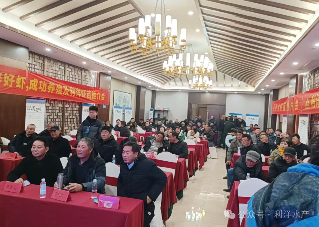 1768448140573799.png 2.png